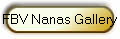 FBV Nanas Gallery